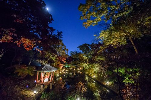 창덕궁 존덕정 일원[궁능유적본부 제공. 재판매 및 DB 금지]