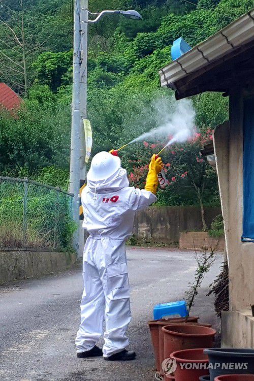 "벌초·성묘할 때 벌쏘임 주의하세요"벌집을 제거하는 소방대원의 모습.