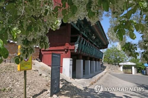 활짝 핀 포항 흥해향교 이팝나무(포항=연합뉴스) 손대성 기자 = 3일 경북 포항시 북구 흥해읍 흥해향교 주변에 이팝나무가 활짝 피어 있다.
    흥해향교 이팝나무는 지난해 12월 천연기념물로 지정됐다. 2021.5.3