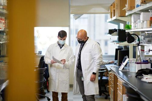 실험 데이터를 살펴보는 엘레베디 교수(右) 교수와 잭슨 터너 박사후연구원[미국 워싱턴의대 Matt Miller / 재판매 및 DB 금지]