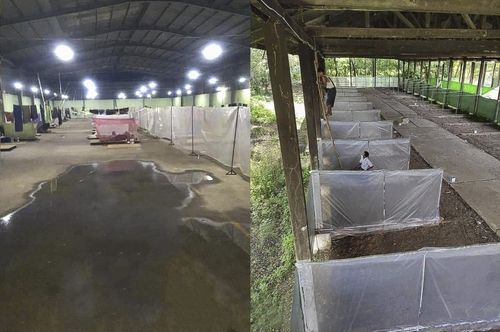 왼쪽은 현재 양곤 흘라잉따야 타운십에서 운영 중인 코로나19 격리센터, 오른쪽은 현재 바고 주의 조빙까웃 시에서 준비 중인 코로나19 격리센터.  [SNS 캡처]