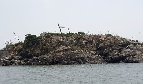 서천 노루섬 전경[서천군지속가능발전협의회 제공. 재판매 및 DB 금지]