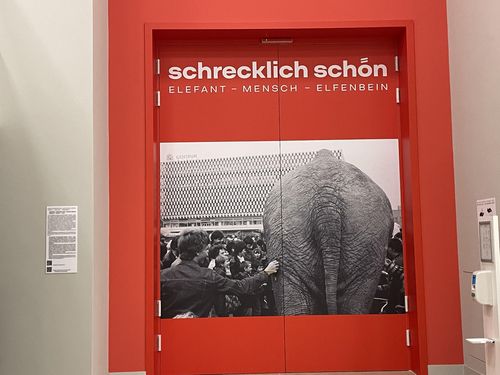 '끔찍하게 아름다운' 특별전[촬영=이 율]