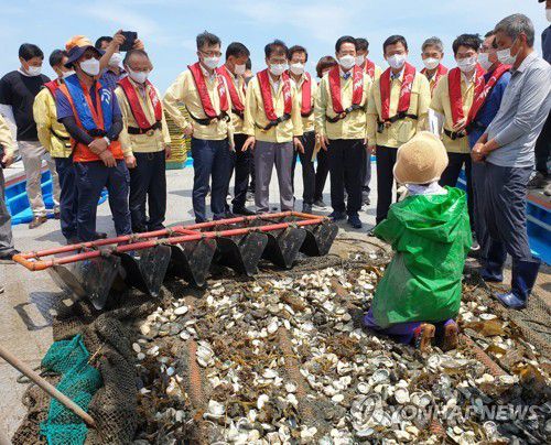 "제발 도와 달라"…전복 폐사 어민 무릎 꿇고 애원(서울=연합뉴스) 지난 12일 오후 1시 30분 전남 강진군 마량항 앞바다 해상전복가두리에서 양식을 하는 김은영씨가 문성혁 해수부장관 등에게 무릎을 꿇고 "제발 도와 달라"며 애원하고 있다. 2021.7.24 [독자 제공·재판매 및 DB 금지] photo@yna.co.kr