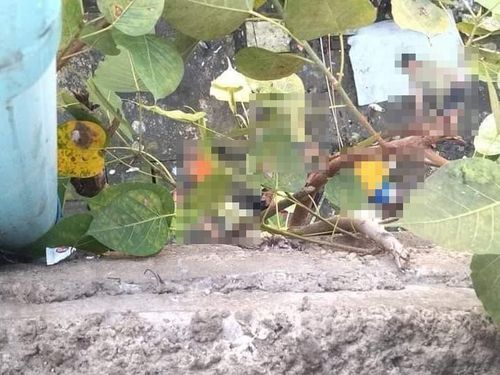 미얀마 젊은이 5명이 군경 급습을 피해 뛰어내린 현장. [SNS 캡처.