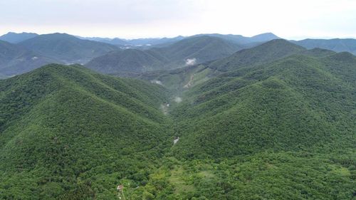 한·아세안 국가정원 후보지인 거제시 동부면 구천리 일대 산림[거제시 제공. 재판매 및 DB 금지]