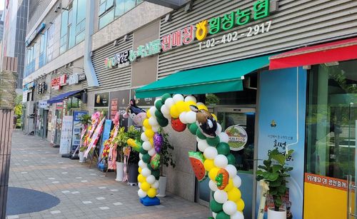 횡성군, 위례 신도시 농축산물 판매장에서 추석 장보기    (횡성=연합뉴스) 횡성군은 횡성농협과 위례 신도시에 개설한 횡성군 농축산물 판매장에서 14∼19일 추석맞이 장보기 행사를 연다. 2021.9.9 [횡성군 제공·재판매 및 DB 금지]