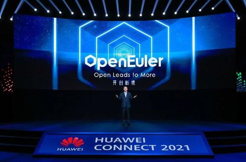 운영체제 어우라(歐拉·openEuler)를 발표하는 화웨이[관찰자망 캡처. 재판매 및 DB 금지]