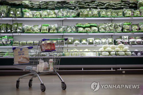 10월 소비자물가 3.2%↑ 9년9개월만에 최고(서울=연합뉴스) 박동주 기자 = 2일 서울의 한 대형마트.      지난달 소비자물가가 3.2% 올라 9년 9개월 만에 최고 상승률을 기록했다. 국제유가 상승으로 석유류가 크게 올랐고 달걀·돼지고기 등 축산물도 상승했다. 여기에 지난해 10월 통신비 지원 정책에 따른 기저효과까지 맞물리면서 근 10년 만에 물가 상승률이 3%대로 치솟았다. 2021.11.2 pdj6635@yna.co.kr