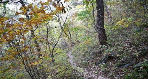 백운산 칠족령[강원도 제공. 재판매 및 DB 금지]