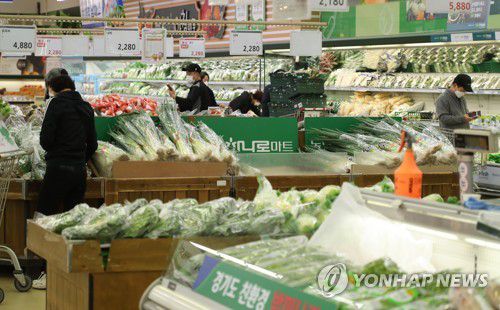 다가오는 김장철(서울=연합뉴스) 류효림 기자 = 4일 서울 시내 대형 마트 채소 판매대에서 고객들이 장을 보고 있다. 2021.11.4 ryousanta@yna.co.kr