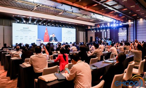 화상 연설하는 왕이 중국 외교부장[글로벌 타임스 캡처. 재판매 및 DB 금지]