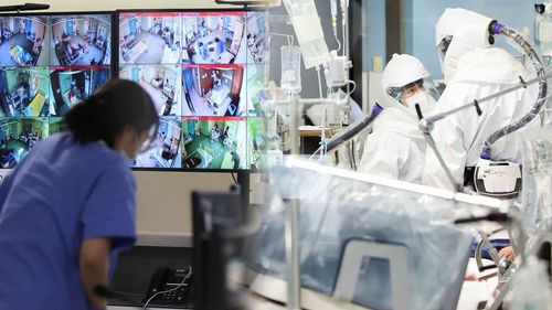 [연합뉴스 자료사진]