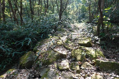 박석이 깔린 옛길[문화재청 제공. 재판매 및 DB 금지]