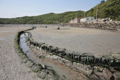 경계를 나눈 갯벌밭[문화재청 제공. 재판매 및 DB 금지]