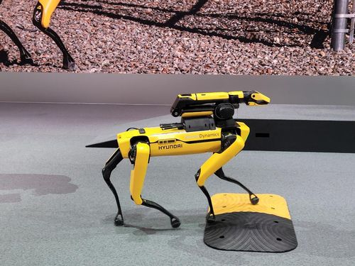 사족보행 로봇 '스팟'[촬영 김보경]