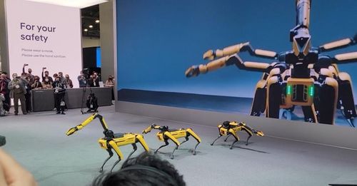 칼군무 추는 로봇개 '스팟'[촬영 김보경]