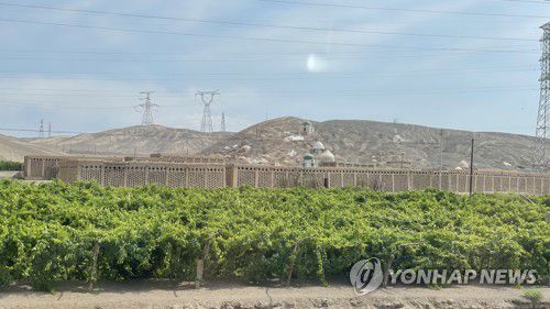 중국 신장위구르자치구[촬영 차대운]