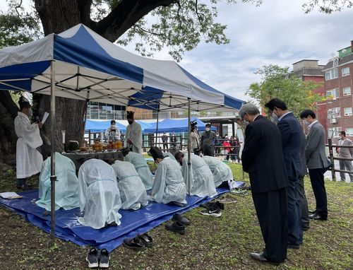 인천 신현동 회화나무 당제[문화재청 제공. 재판매 및 DB 금지]