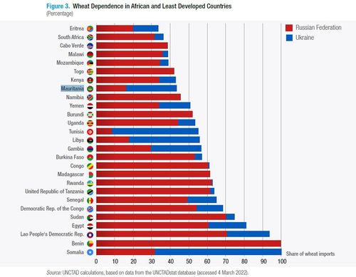 러시아, 우크라이나에서 밀을 수입하는 아프리카 국가들[유엔무역개발회의(UNCTAD) 보고서 캡처. 재판매 및 DB금지]