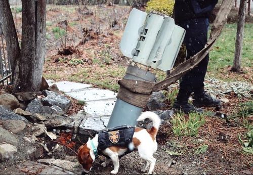 폭발물 탐지 중인 '파트론'[우크라이나 국가응급서비스(SES) 인스타그램 캡처, 재판매 및 DB 금지]