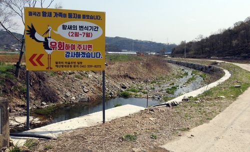 마을주민들이 황새 번식기간 주의를 당부하며 세운 안내판[예산황새마을 제공. 재판매 및 DB 금지]