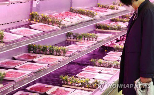 오름세 지속되는 물가[연합뉴스 자료사진]