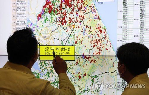 강원 홍천 ASF 발생에 대책 마련 분주한 농식품부[연합뉴스 자료사진]