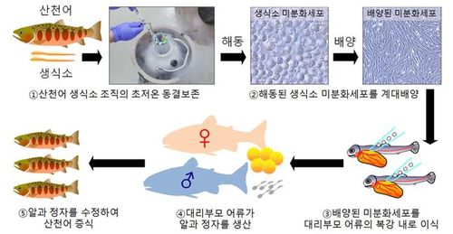 [국립생물자원관 제공. 재판매 및 DB 금지]