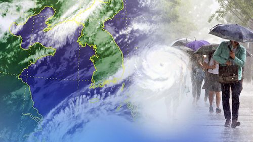 태풍 (CG)※기사와 직접적인 관계가 없는 자료사진 입니다. [연합뉴스TV 제공]