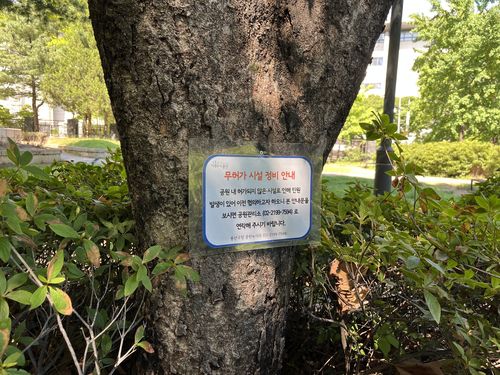 고양이 집 철거 전 관리사무소에서 부착했던 안내문(서울=연합뉴스) 김윤철 기자 = '캣맘'이 효창공원 내 설치한 길고양이집을 용산구청이 철거한 후 부착한 안내문. 이후에도 밥그릇과 사료는 계속 채워지고 있다. 2022.7.3 newsjedi@yna.co.kr