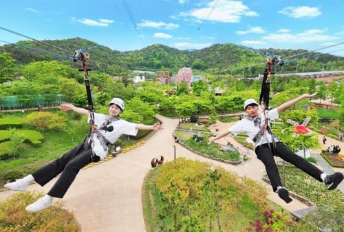 김해가야테파파크 익사이팅 플라잉[김해시 제공. 재판매 및 DB 금지]
