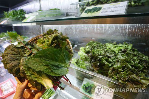 채솟값 폭등에 자영업자들 한숨(서울=연합뉴스) 진연수 기자 = 18일 서울 시내 한 쌈밥집에 상추, 깻잎 등 쌈 채소가 진열되어 있다. 최근 상추, 깻잎 등 쌈 채소 가격이 폭등하면서 쌈밥집, 고깃집을 운영하는 자영업자들의 시름이 깊어지고 있다. 2022.7.18 jin90@yna.co.kr
