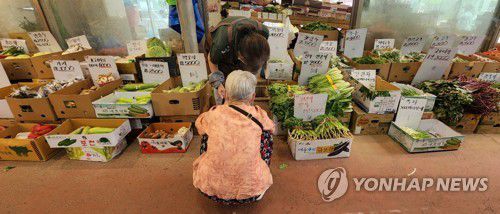 비싼 물가(서울=연합뉴스) 한상균 기자 = 24일 서울 한 재래시장에서 한 어르신이 앉아서 물건을 사고 있다.      한국물가정보에 따르면 올해 전통시장 추석 차례상 품목 구매 비용(4인가족 기준)은 30만1천원으로 지난해보다 2만6천500원(9.7%)이 더 드는 것으로 나타났다. 대형마트는 40만8천420원으로 2만4천600원(6.4%) 늘었다. 2022.8.24 xyz@yna.co.kr