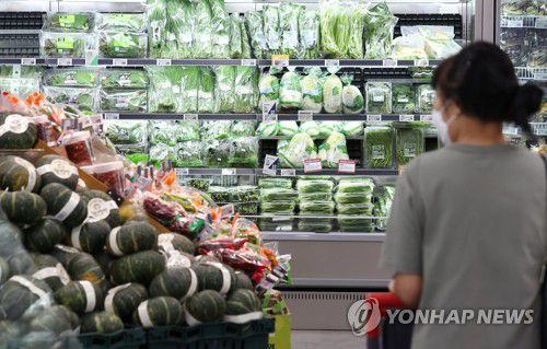 고물가 속 장보기[연합뉴스 자료사진]