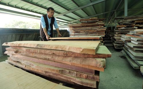 각자 작품에 쓰이는 나무 [촬영 천경환 기자]