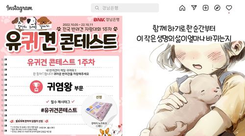 인스타그램[BNK경남은행 제공. 재판매 및 DB 금지]