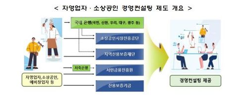 자영업자·소상공인 경영컨설팅 제도 개요[금융감독원 제공]