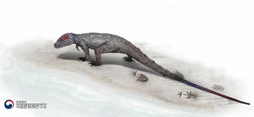 발자국 화석 남긴 '코리스토데라'[국립문화재연구소 제공. 재판매 및 DB 금지]