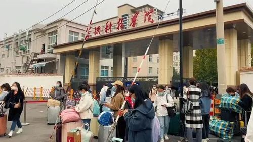 학교 밖으로 쏟아져 나온 황허학원 학생들[웨이보 캡처. 재판매 및 DB 금지]