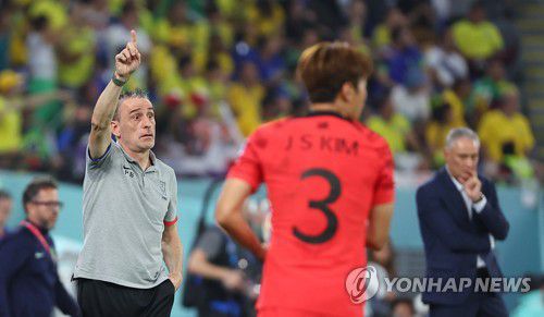 작전 지시하는 벤투 감독(도하=연합뉴스) 김도훈 기자 = 6일(한국시간) 카타르 도하 974스타디움에서 열린 2022 카타르 월드컵 16강전 대한민국과 브라질의 경기. 전반 벤투 감독이 작전을 지시하고 있다. 2022.12.6 superdoo82@yna.co.kr