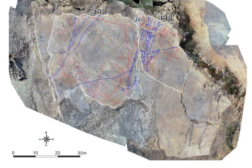 발자국 화석 산출지의 보행렬 분포도[문화재청 제공. 재판매 및 DB 금지]