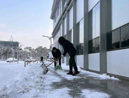 눈 치우는 전북도교육청 직원들(전주=연합뉴스) 김진방 기자