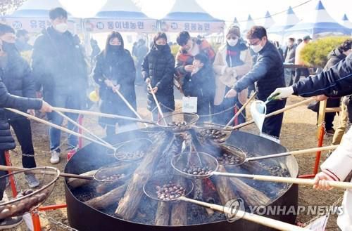"겨울엔 군밤이지"(공주=연합뉴스) '제6회 겨울공주 군밤축제' 둘째 날인 지난 7일 축제장인 충남 공주시 아트센터 고마 일원을 찾은 관광객들이 알밤을 뜰망에 담아 장작불이 이글거리는 대형 화로에 굽고 있다. 이 축제는 8일까지 계속된다. 2023.1.8 [공주시 제공. 재판매 및 DB 금지]