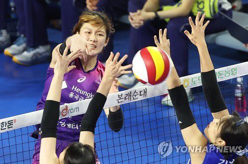 공격하는 김다은(화성=연합뉴스) 홍기원 기자 = 8일 경기도 화성종합경기타운 실내체육관에서 열린 프로배구 V리그 여자부 IBK기업은행 알토스와 흥국생명 핑크스파이더스의 경기. 흥국생명 김다은이 공격하고 있다. 2023.1.8 xanadu@yna.co.kr