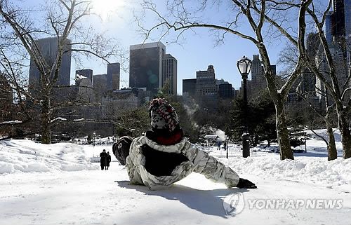 2014년 1월 뉴욕시 센트럴파크에서 눈썰매 타는 아이[EPA 연합뉴스 자료사진. 재판매 및 DB 금지]