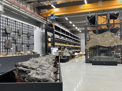 국내서 가장 큰 나무 화석 모습      (대전=연합뉴스) 김예나 기자 = 지난 2일 찾은 대전 국립문화재연구원 천연기념물센터의 지질표본관리동 모습. 이곳에서는 각종 화석류, 지질유산을 보관하고 있다. 2023.1.29     yes@yna.co.kr