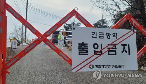 양양 양돈농가서 ASF 발생…농장 출입 통제(양양=연합뉴스) 이종건 기자 = 12일 강원 양양군 손양면의 한 양돈농가에서 아프리카돼지열병(ASF)이 발생해 방역 당국 관계자가 출입구를 통제하고 있다. 2023.2.12 momo@yna.co.kr