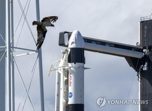 스페이스X 팰컨9 로켓에 실린 '크루 드래건' 유인 캡슐[UPI 연합뉴스. 재판매 및 DB 금지]