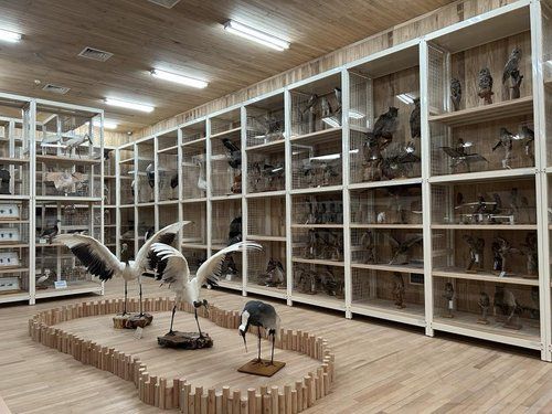천연기념물센터 수장고(대전=연합뉴스) 김예나 기자 = 지난 2일 방문한 대전 국립문화재연구원 천연기념물센터 수장고에 다양한 동물 박제 표본이 보관돼 있다. 2023.1.29 yes@yna.co.kr